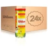 Wilson Championship 24x 3 Ball Tube In A Box -Tennis Point Shop 0158400000 000