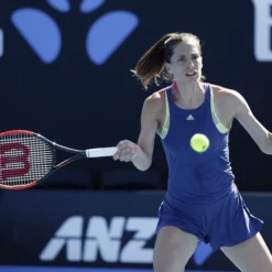 Wilson Natural Gut String Set 12,2m -Tennis Point Shop 02009000 62