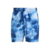 ADIDAS Melbourne Ergo Graphic Shorts Men -Tennis Point Shop 17962000 000