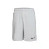 Nike Dri-Fit Shorts Men